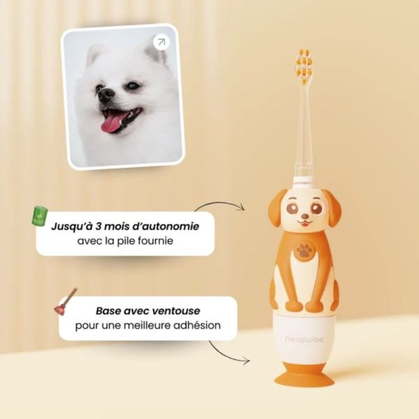 Neopulse Brosse à Dents pour Chien NEODOG - Brossage manuel ou micro-vibrations
