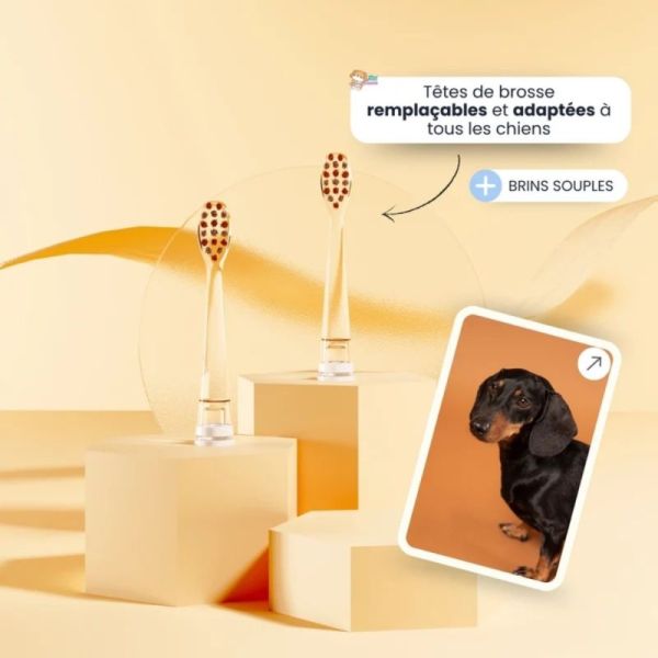 Neopulse Brosse à Dents pour Chien NEODOG - Brossage manuel ou micro-vibrations