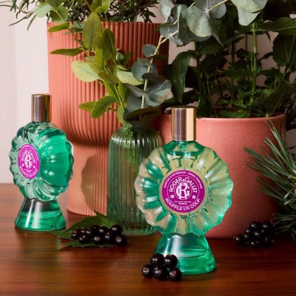 Roger et Gallet Parfum d'Intérieur Souffle un Coup 100ml – Oxygénation et grand bol d'air frais