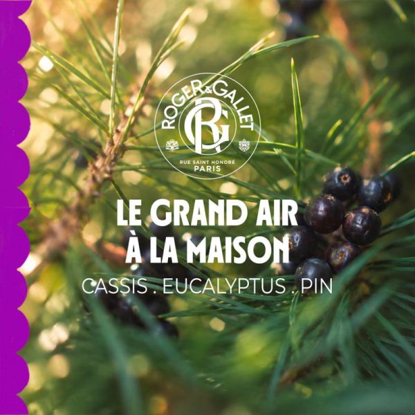Roger et Gallet Parfum d'Intérieur Souffle un Coup 100ml – Oxygénation et grand bol d'air frais