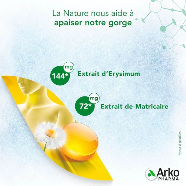 Activox 24 Pastilles Miel Citron Gorge Irritée - Action flash, apaise la gorge, le pharynx et les cordes vocales