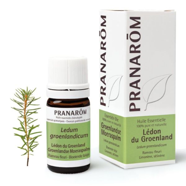 Pranarom Lédon du Groenland  5 ml