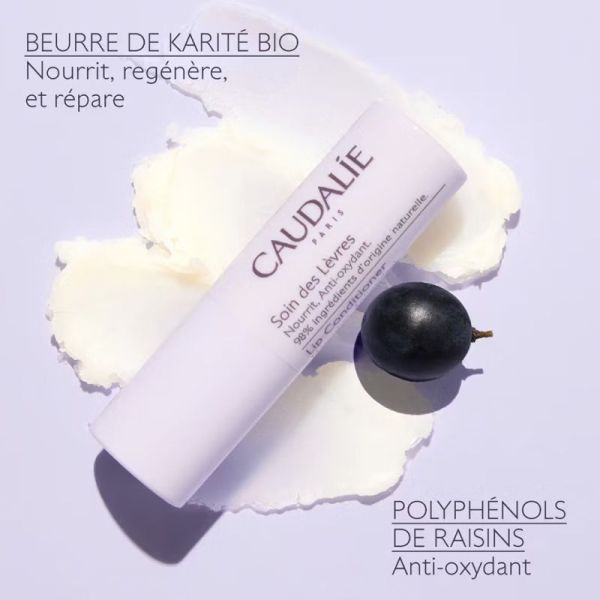 Caudalie Vinotherapist Soin Des Lèvres 4,5g – Nutrition et protection