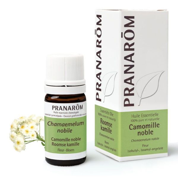 Pranarom Camomille noble 5 ml