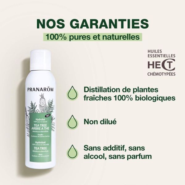 Pranarôm Hydrolat Tea Tree Arbre à Thé Bio 150ml – Purifiant et assainissant