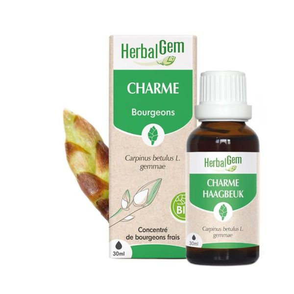 Herbalgem Concentré de Bourgeon Charme Bio - 30ml