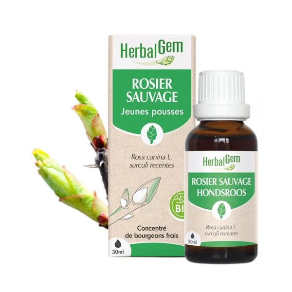 Herbalgem Concentré de Bourgeon de Rosier Sauvage Bio - 30ml