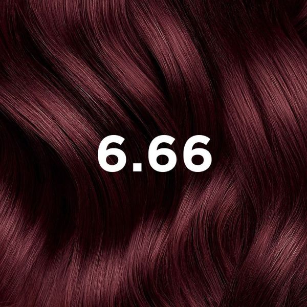 Phyto PhytoColor Coloration Permanente Aux Pigments Végétaux N°6.66 Chatain Clair Cerise Intense