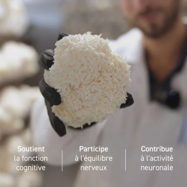 French Mush Lion's Mane 168 gélules - Concentration, mémoire et équilibre émotionnel