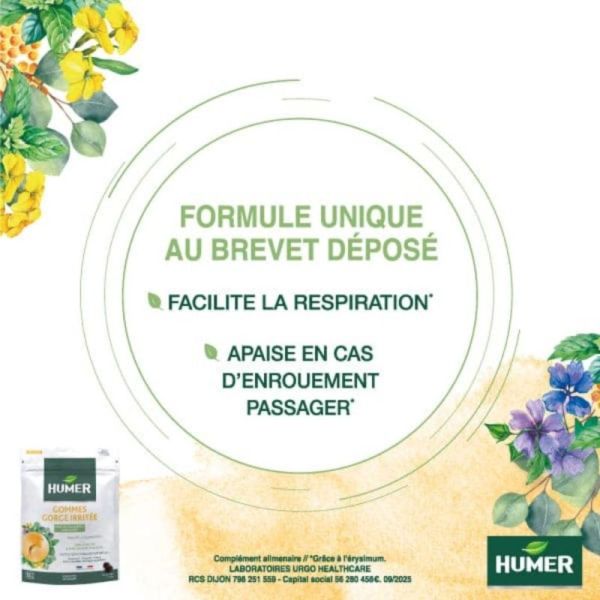 HUMER Gommes Gorge Irritée Menthe-Eucalyptus Sans Sucre 30 gommes - Apaisement de la gorge et facilitation de la respiration