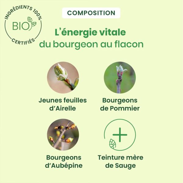 HerbalGem Fem50+Gem Bio 15ml – Confort ménopause et sommeil