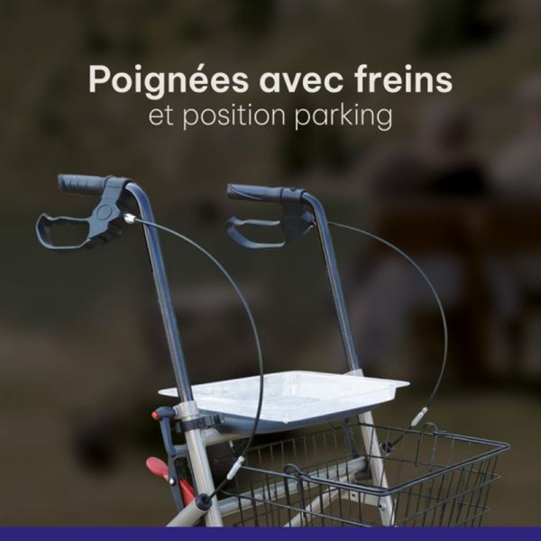 Euromedis Rollator 4 Roues avec Panier et Tablette Taupe – Aide à la marche