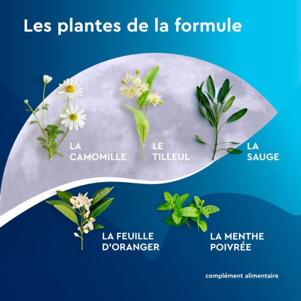 EuphytoseNuit - 20 sachets