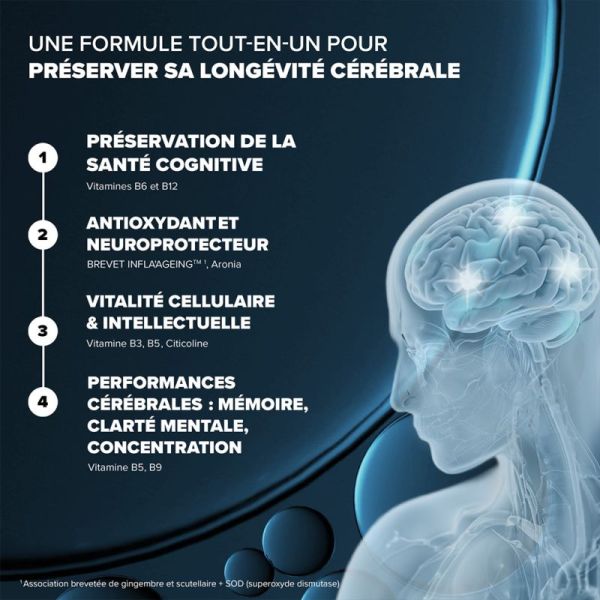 Arkopharma Santé Longévité Cérébrale 60 gélules – Préservation des fonctions cognitives et de la mémoire