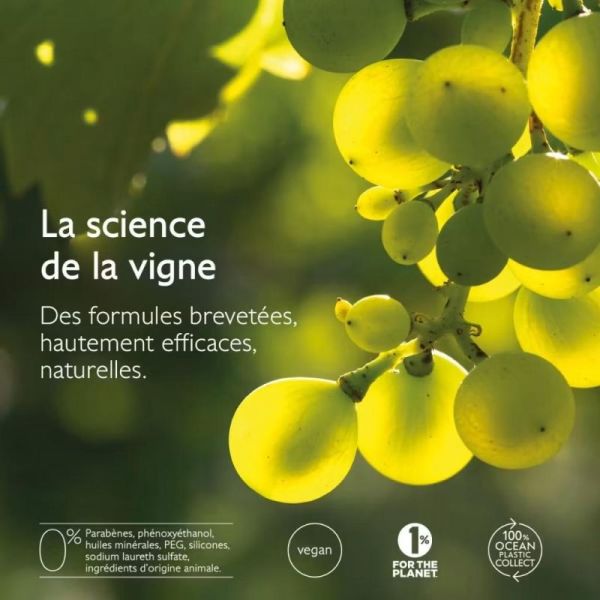 Caudalie Vinothérapist Crème Beauté des Pieds au Beurre de Karité 75ml - Nourrit et répare les pieds secs