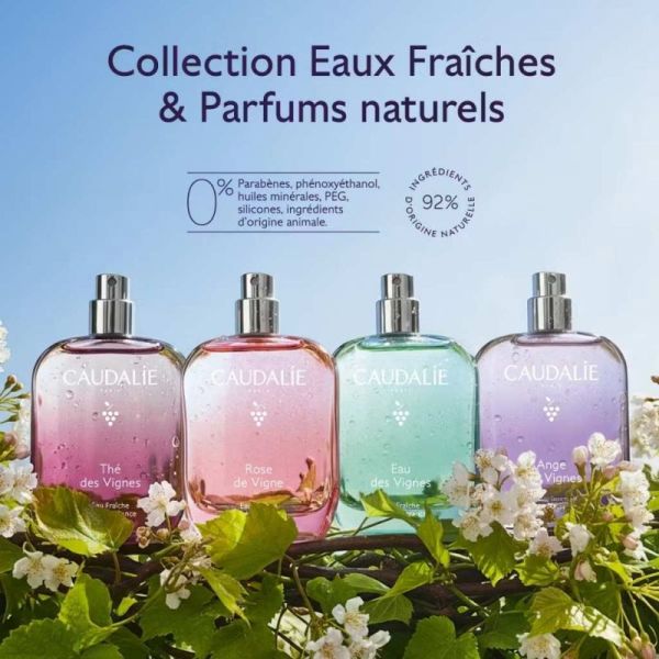 Caudalie Thé des Vignes Eau Fraîche 50ml - Fragrance sensuelle aux notes de musc blanc et néroli