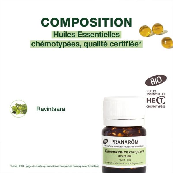 Pranarôm Perles d'Huile Essentielle Ravintsara Bio 60 Perles – Défenses et vitalité