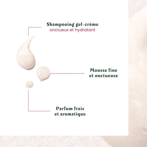 René Furterer Neopur Shampoing Antipelliculaire Pellicules Sèches - 150 ml - Équilibre du Microbiome