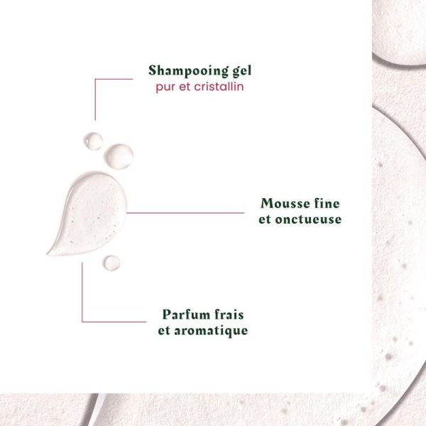 René Furterer Neopur Shampoing Antipelliculaire Pellicules Grasses - 150 ml - Rééquilibrant et Purifiant