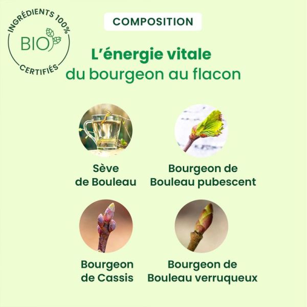 HerbalGem Sève Detox Bio 250ml – Drainage et vitalité