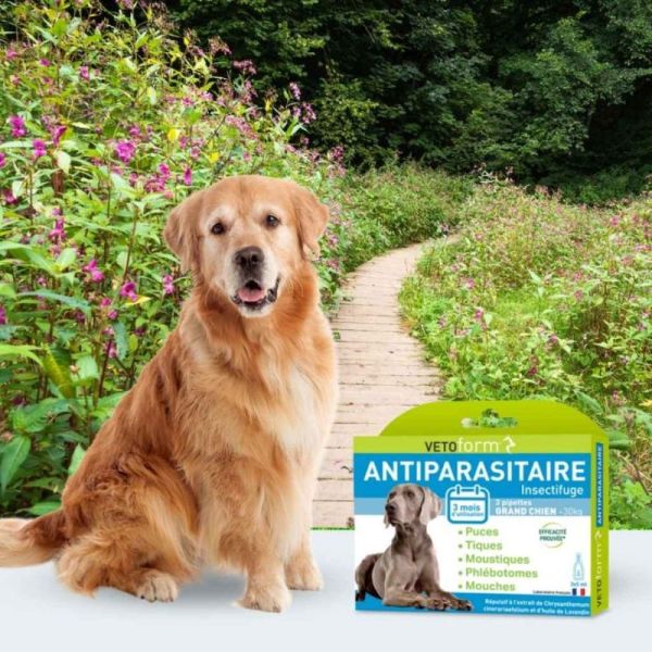 Vetoform Antiparasitaire insectifuge grand chien +30 kg - 3 pipettes
