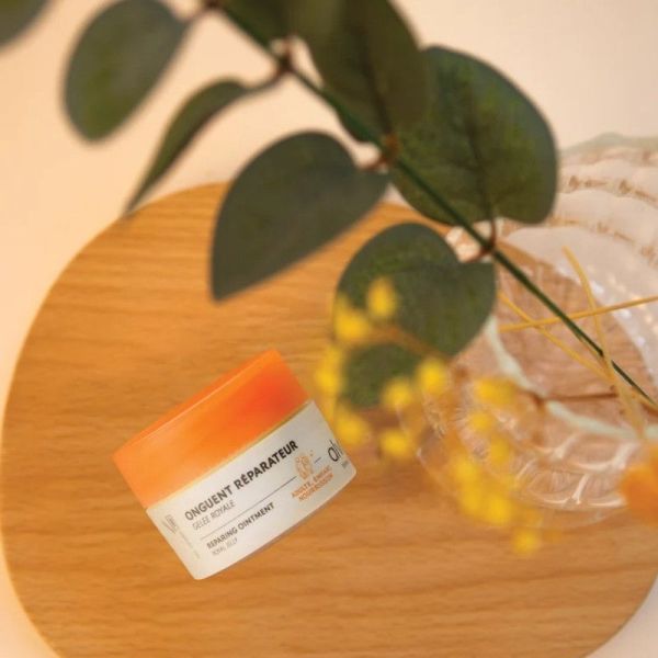 Alvadiem Onguent Réparateur à la Gelée Royale - 10ml