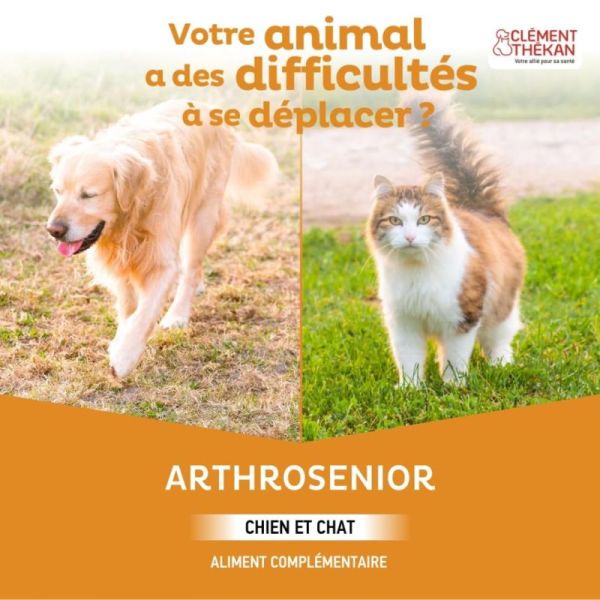 Clément Thékan Arthrosenior Articulations Chien et Chat - 60 comprimés