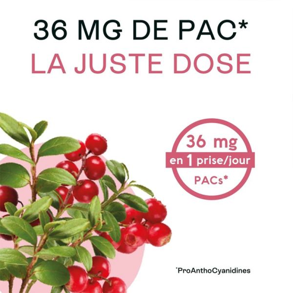 Naturactive Confort Urinaire Entretien Bio 2x30 Gélules – Cranberry et pissenlit