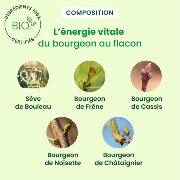 HerbalGem Celluseve Minceur Bio 250ml – Silhouette et drainage