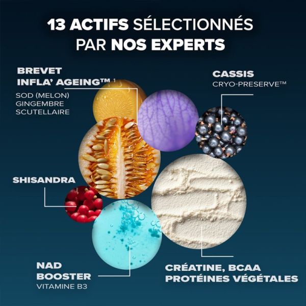 Arkopharma Santé Longévité Capital Musculaire 285g – Formule 5 actions pour préserver la masse et la force